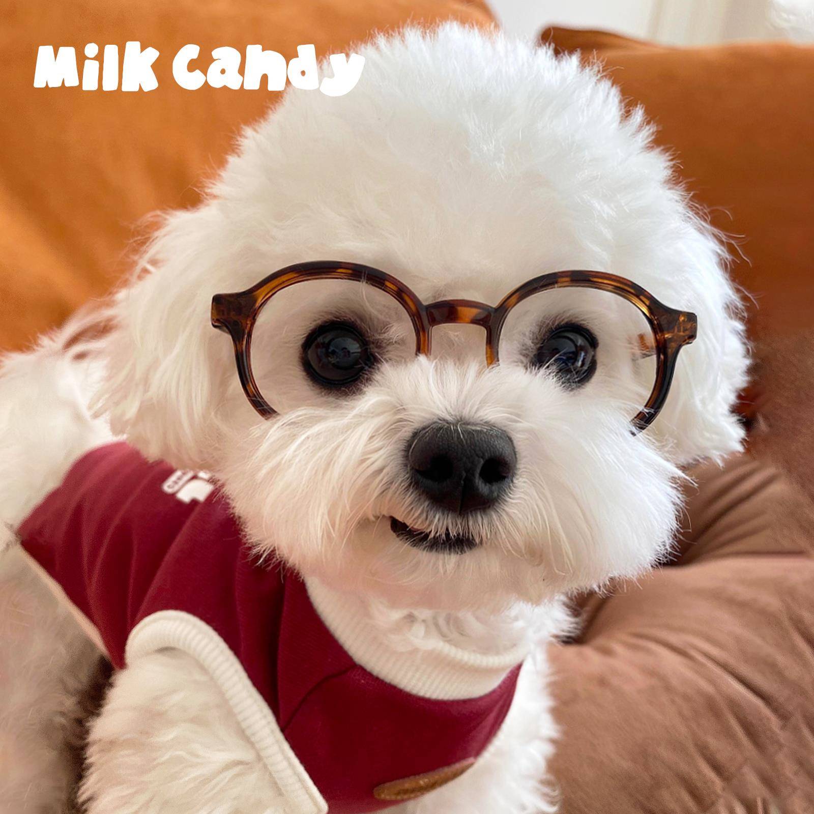 宠物狗狗猫咪眼镜小型犬雪纳瑞比熊太阳眼镜小狗拍照专用道具搞怪