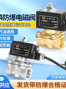 常闭防爆电磁阀矿用水阀气阀管道控制开关阀门dn15 50127v220v24v