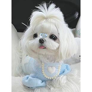 小狗鼻梁夹马尔济斯发夹约克夏头饰西高地配饰比熊发饰宠物小夹子