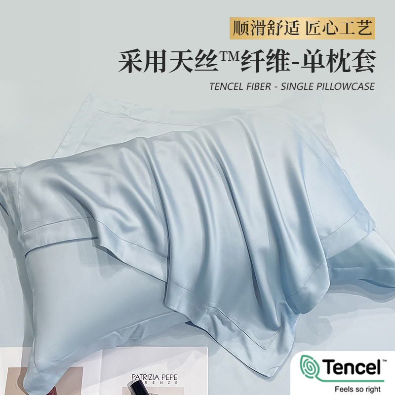 纯色天丝枕套一对装家用卧室高级感冰丝枕头套枕芯内胆套凉爽顺滑