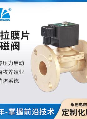 永创2W21法兰电磁阀 直拉膜片式 零压水处理电磁阀水阀AC220V