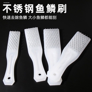 刷鱼鳞的鱼刷子打鳞器刮鳞器不锈钢鱼鳞刨神器鱼鳞刷杀鱼刷刷鱼器