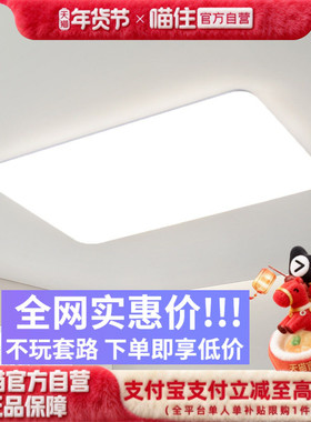 雷士照明吸顶灯客厅灯卧室灯现代简约极简主灯中山灯具吸顶灯套餐