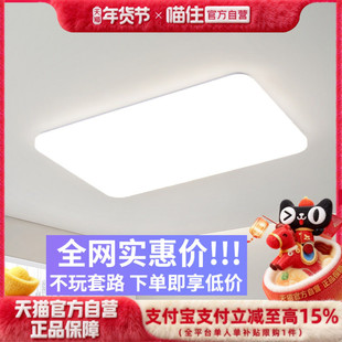 雷士照明吸顶灯客厅灯卧室灯现代简约极简主灯中山灯具吸顶灯套餐