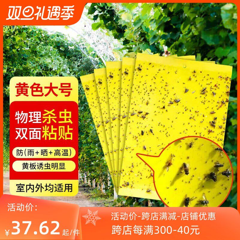 粘虫板黄板双面诱杀小黑飞蚜虫蓟马果蝇针蜂专用大棚果园花草家用