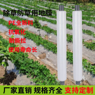 农用保温湿除草黑色白色地膜果园老化大棚银黑膜草莓种植塑料薄膜