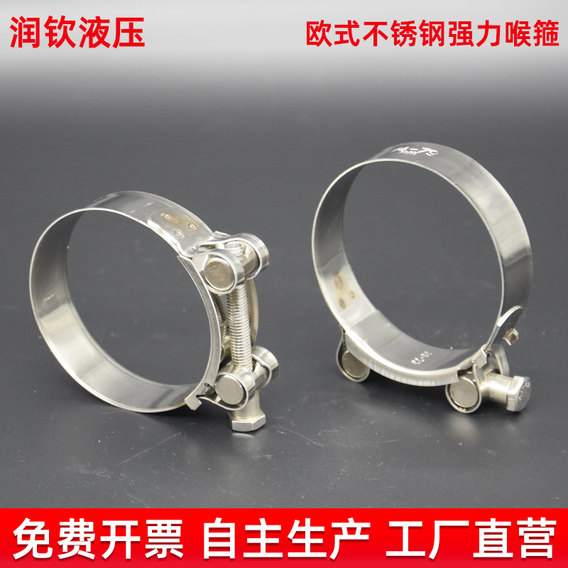 不锈钢强力喉箍卡箍欧式高压抱箍管箍锁紧水管油管卡箍管夹10个装