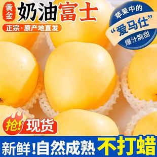 山东烟台奶油苹果黄金奶油富士现仓库摘现发新鲜 下单立减30