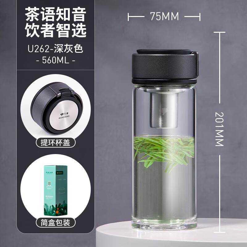 车载单层玻璃杯男女带滤网商务个性茶杯家用可携式提环泡茶杯