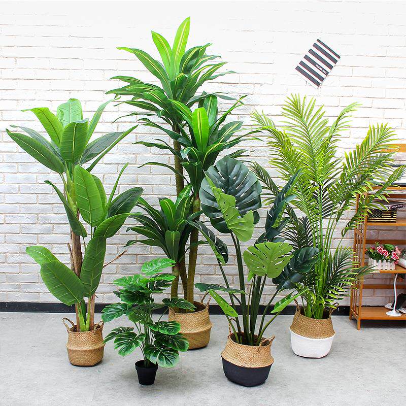 北欧仿真巴西铁阔叶龟背装饰绿植盆景客厅落地室内盆栽富贵葵摆设