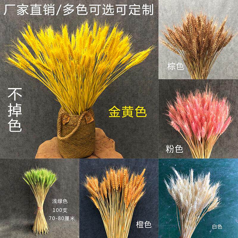 大麦干花花艺金黄色麦穗婚礼婚庆商场开业diy场地布置永生花