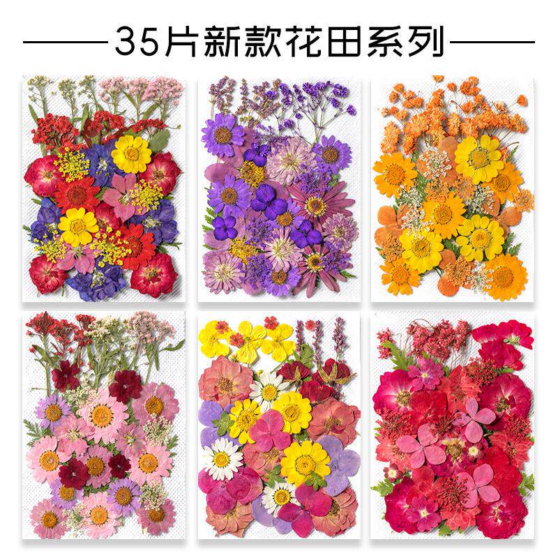 树叶植物标本幼儿园手工贴画DIY干花压花贴脸装饰花妆写真押花