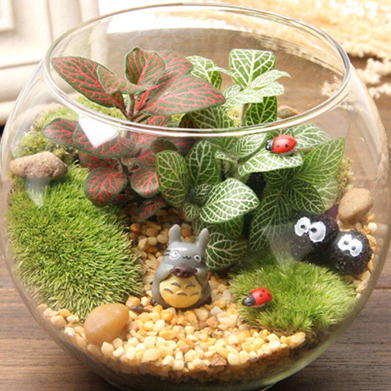 苔藓微景观 创意礼品摆件 苔藓瓶生态瓶 夏日12玻璃盖 办公室摆件