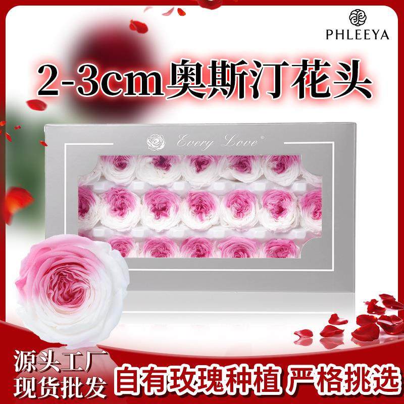 永生花玫瑰花奥斯汀花头巧克力泡泡2-3高级感成品diy手工材料