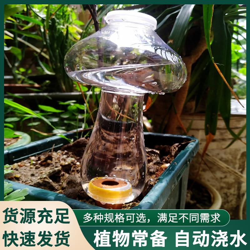 自动浇水器家用懒人浇花旅游出差渗水滴水器滴灌园艺配件多肉浇花