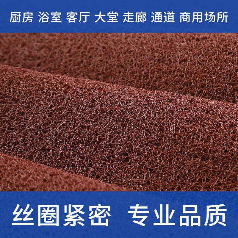工厂pvc塑料地垫入户门口电梯酒店迎宾丝圈脚垫防尘防滑进门