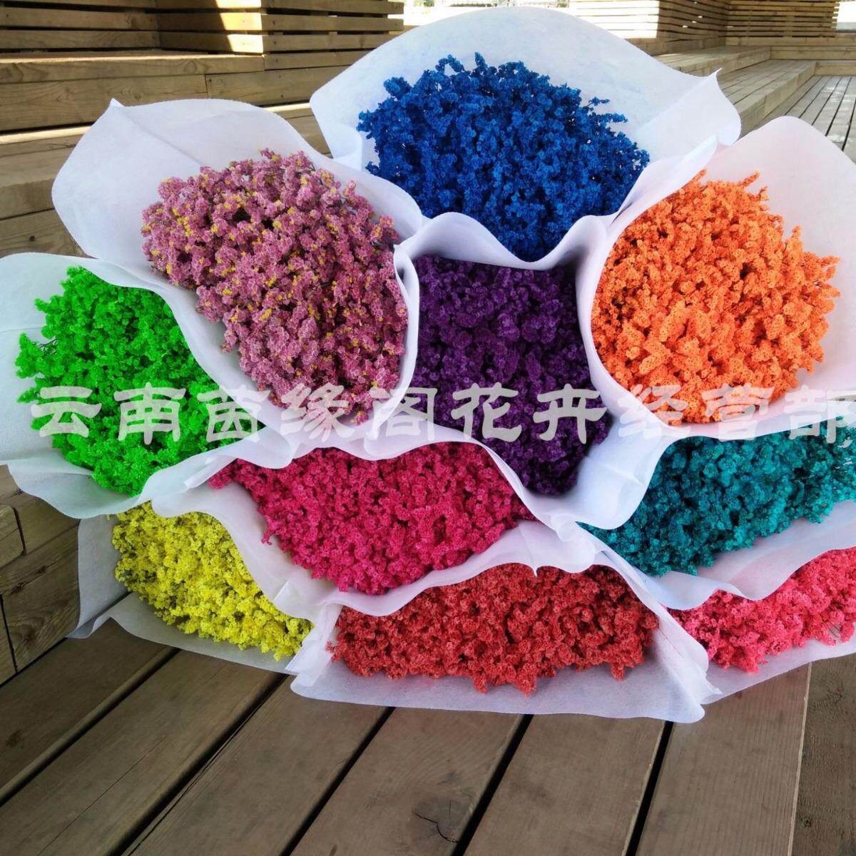干花染色鲜花花束永生花干花永生