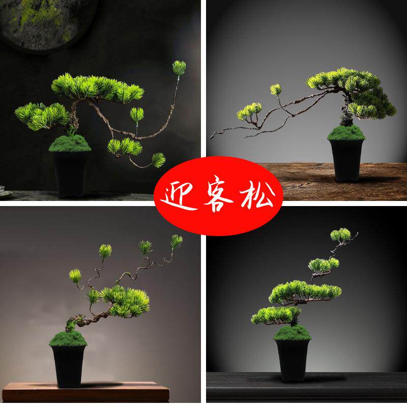 仿真迎客松美人罗汉松植物盆栽摆件松树绿植盆景崖柏松摆设