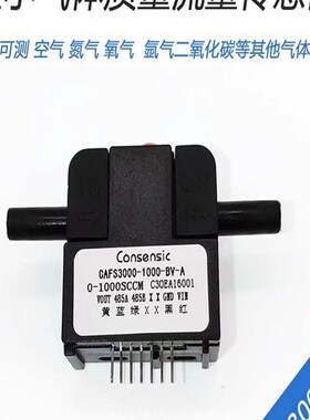湛工业氧气流量计检测设备CAFS3000干净气体质量流量传感器FS4301