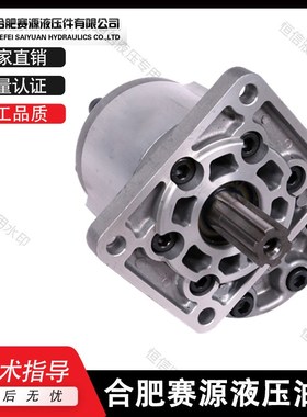 合肥赛源齿轮泵CBN-F520/F525/F532F/540/F550/F563/F580-BF 油泵