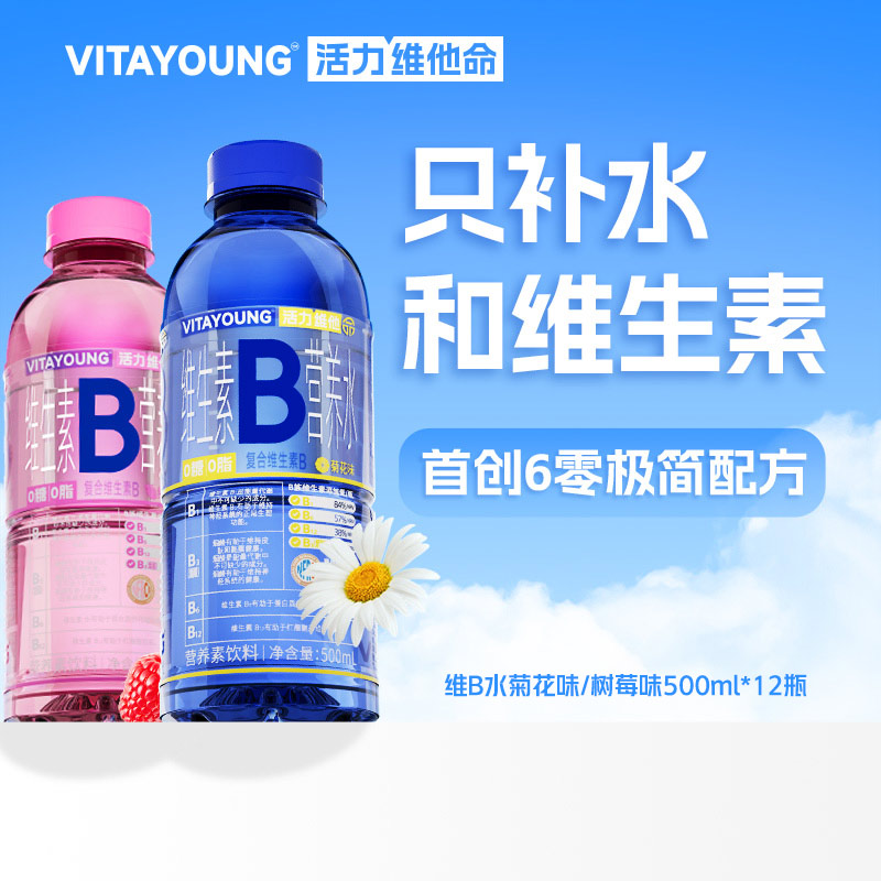 VITAYOUNG維B水500ml*12瓶