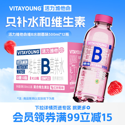 VITAYOUNG活力维他命维生素B水树莓味0糖补水功能饮料500ml*12瓶