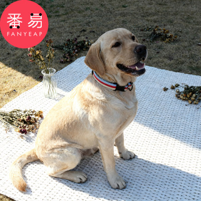 宠物项圈B1pn008-狗狗项圈宠物可调节插扣脖圈猫咪中小型犬颈圈