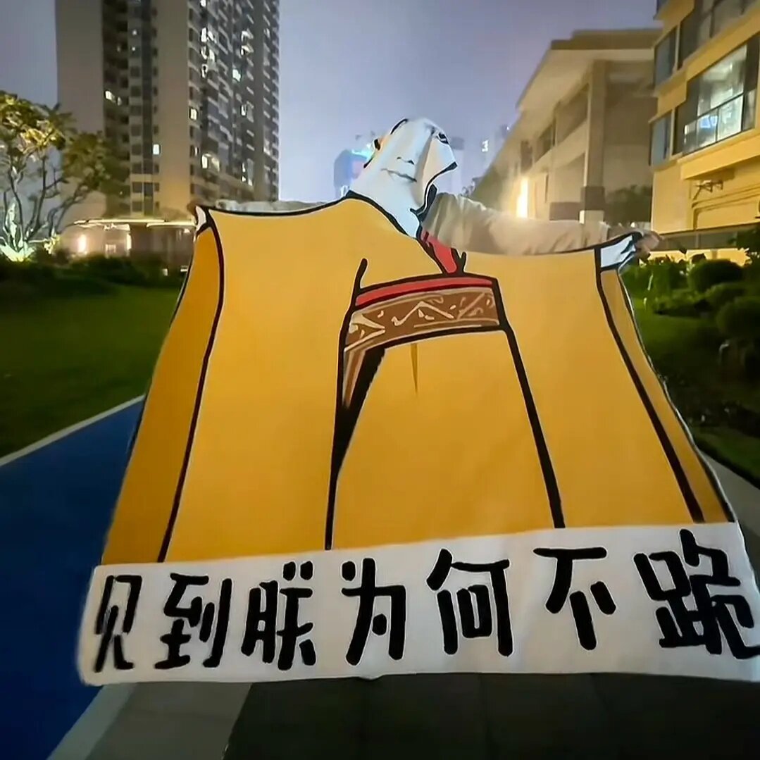 搞怪午休搞笑毛毯见到朕为何不跪