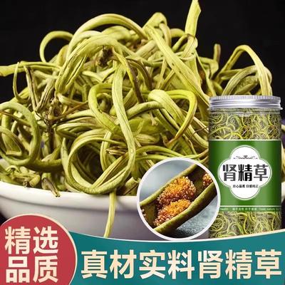 肾精茶黄金草嗷叫长白山官