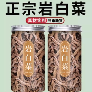 岩白菜中药材大花石莲新鲜正宗野生岩白菜石壁菜留独草软肝草新货