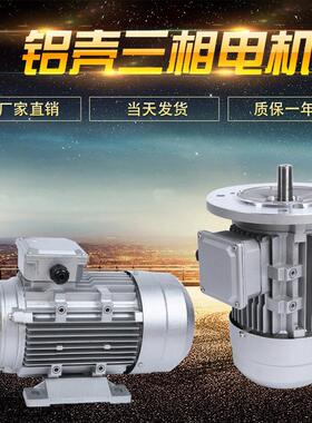 YE2/JS/YS-112M-4极4W铜线铝壳三相异步电动机现货立式卧式立卧