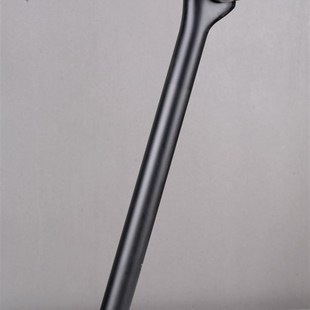 119gA碳纤维滤震座杆超轻座管直头后飘可转换坐杆 355mm 27.2