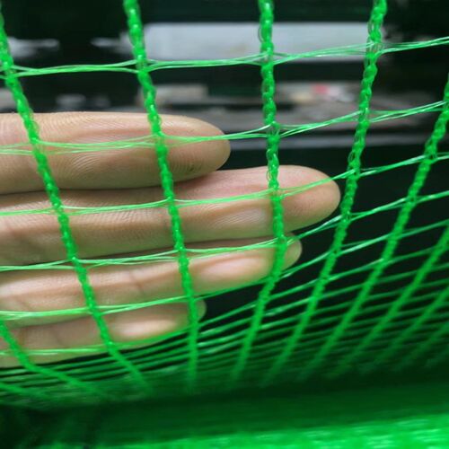 绿色带遍绳1.5厘米孔防鸟网大B棚通风口专用蔬菜大棚放风口防鸟网