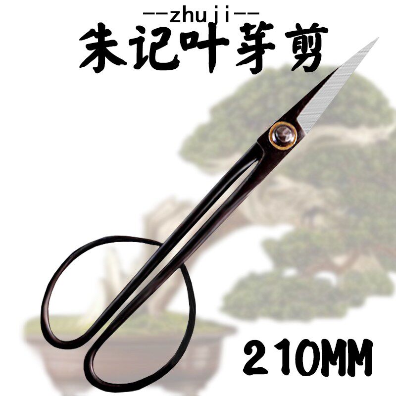 朱记叶芽剪锰钢材质细枝嫩芽松针整理昌蒲兰花分U苗盆景造型工具