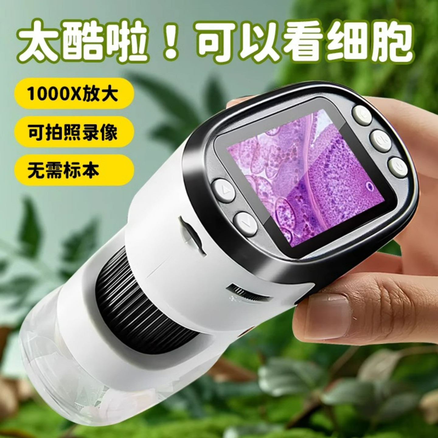 带屏便携式手持户外可看细菌玩具