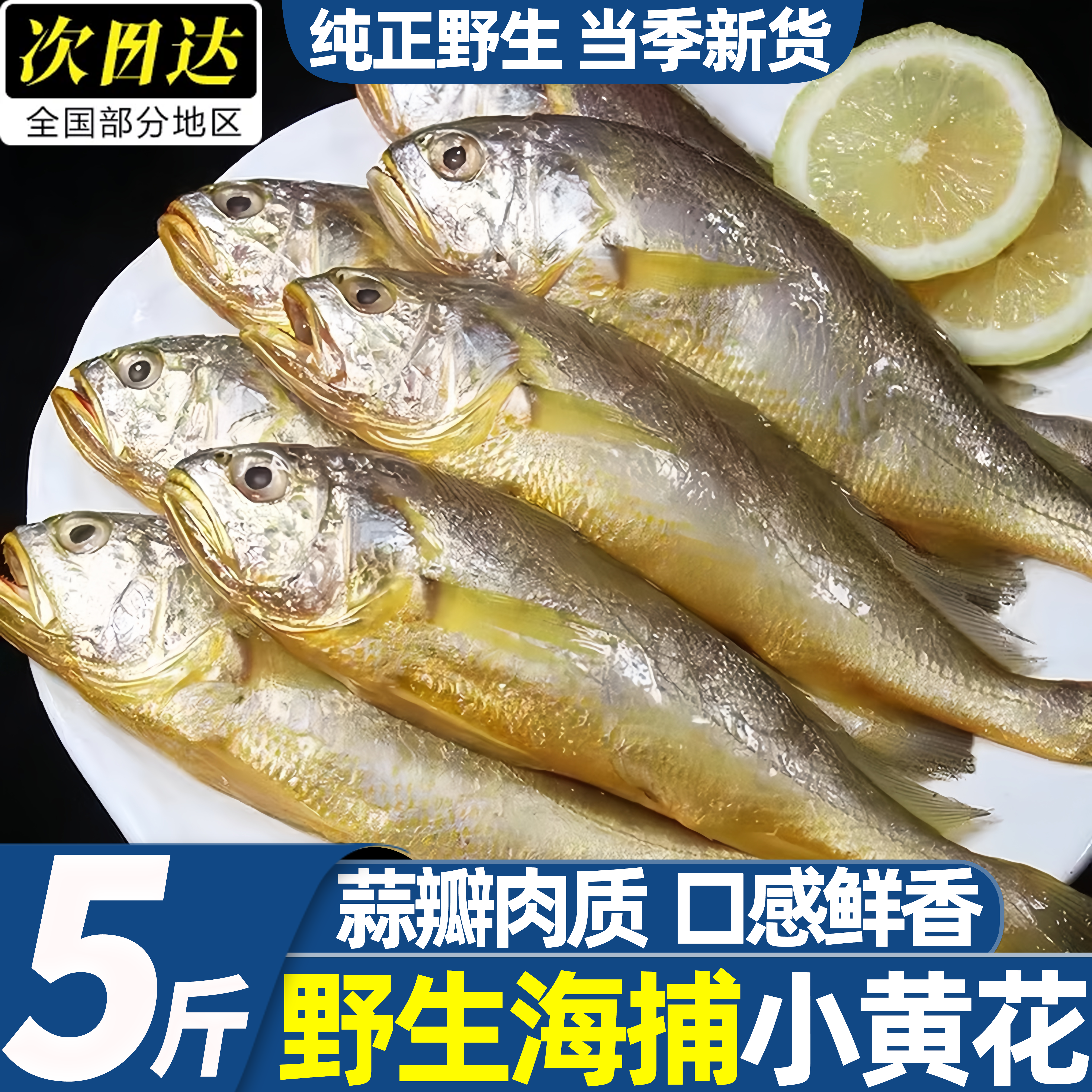 小黄鱼新鲜冷冻海鲜真正海鱼鲜活黄花鱼生鲜冰鲜深海水产商用批发
