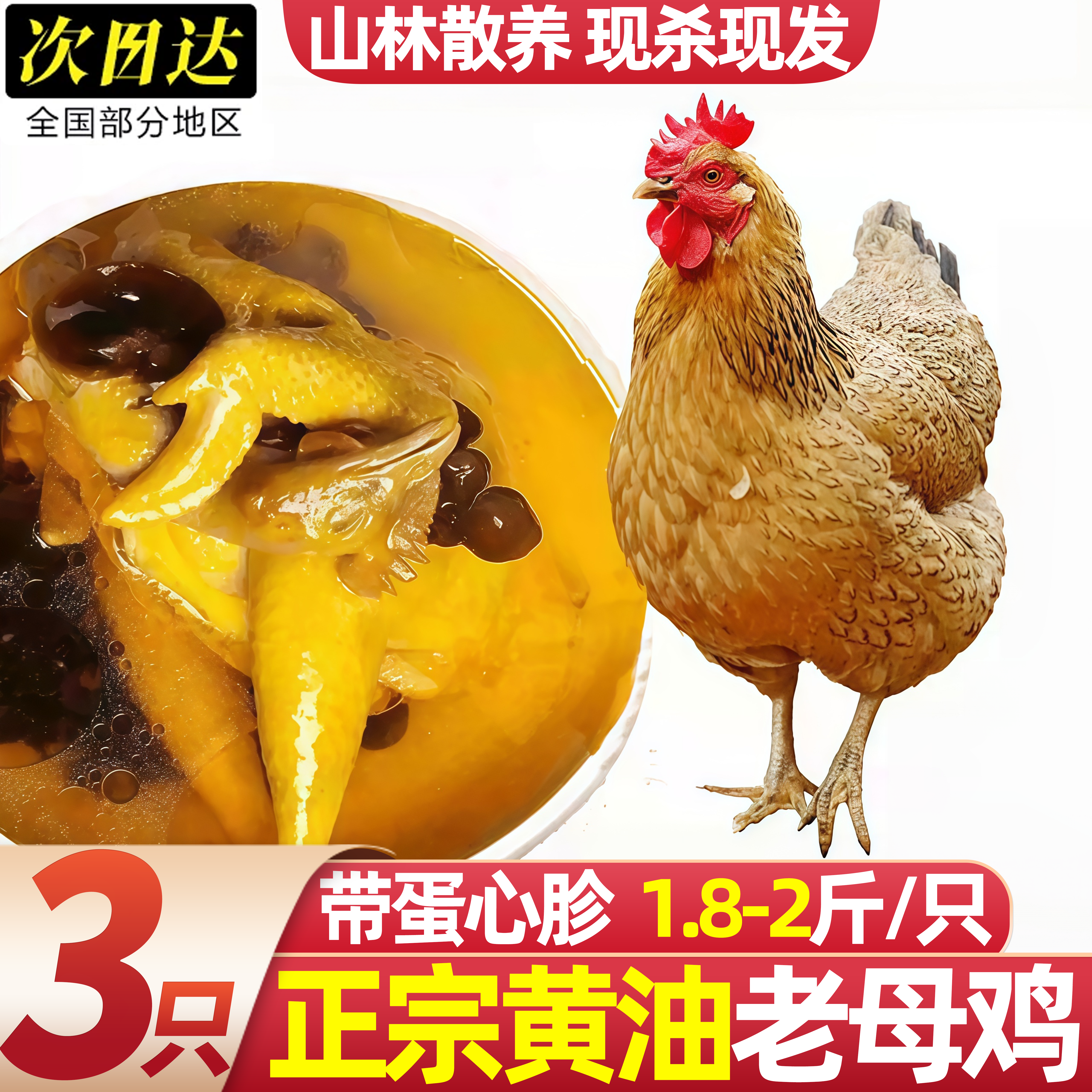 农家散养走地老母鸡整只新鲜现杀