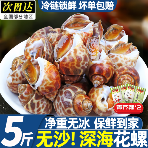 鲜冻无沙大花螺1kg装顺丰批发