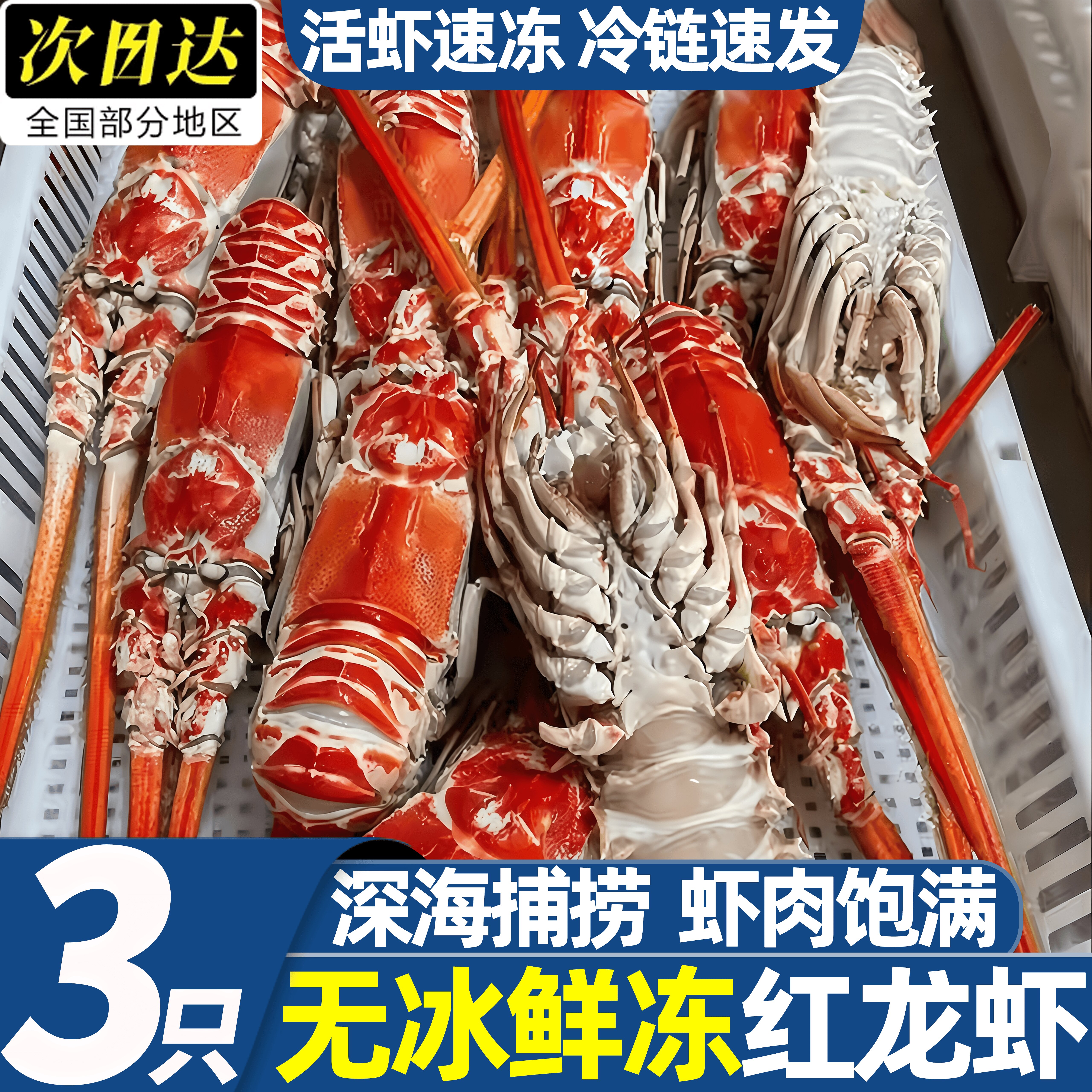 北海海捕大号冷冻角脊龙虾批发