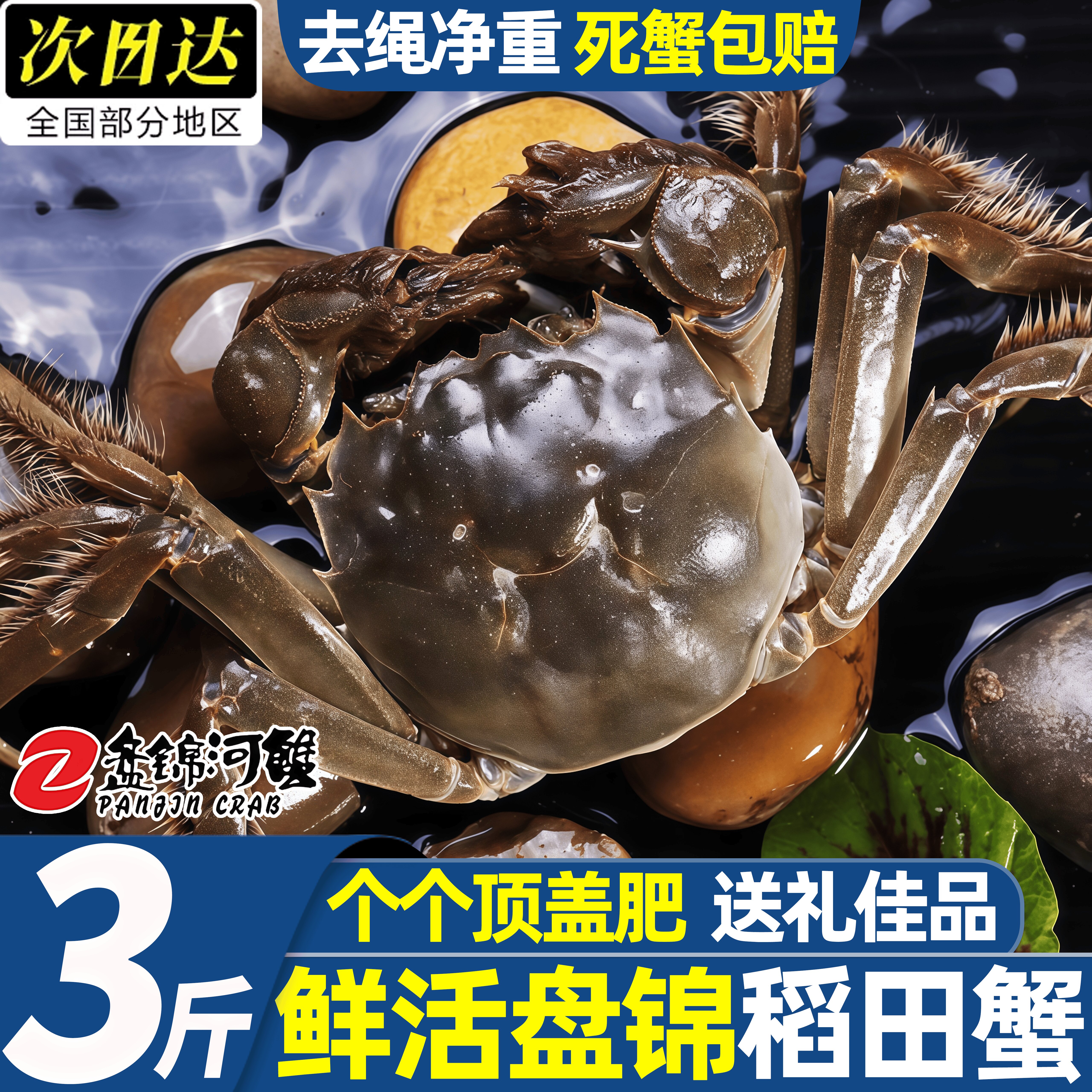 盘锦鲜活大闸蟹产地直发包邮