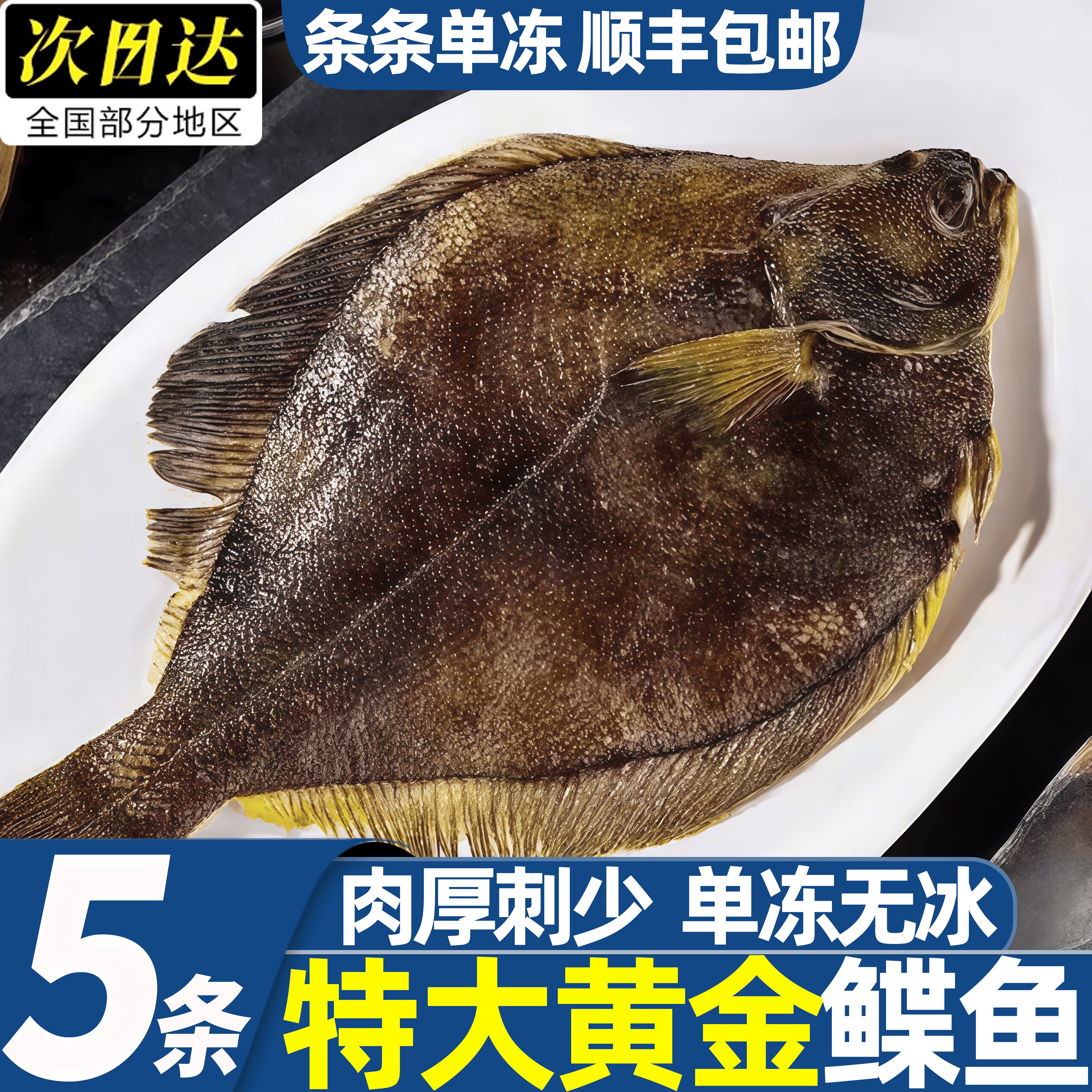 特大黄金鲽鱼整条冷冻鲽鱼批发