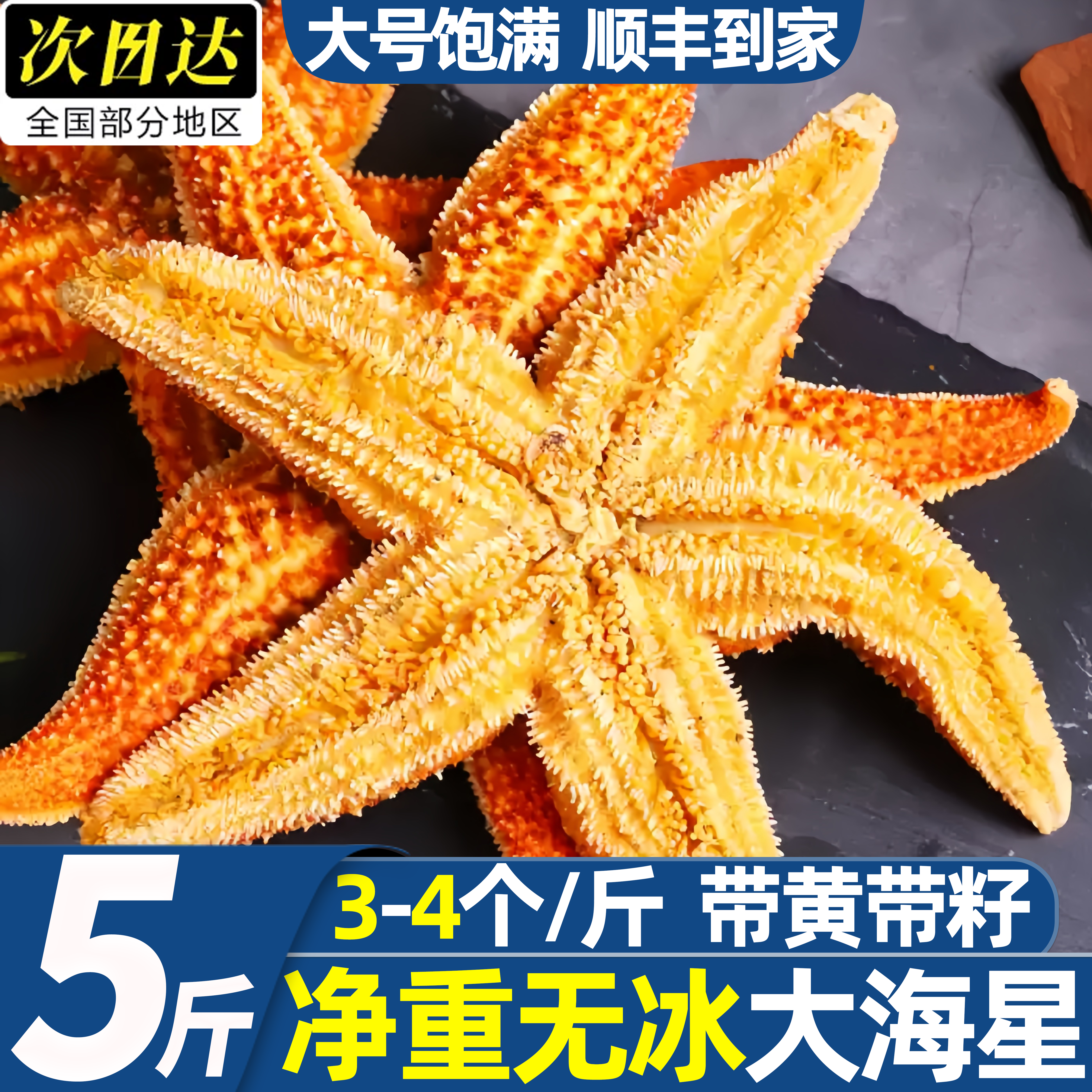野生速冻特大满籽海星