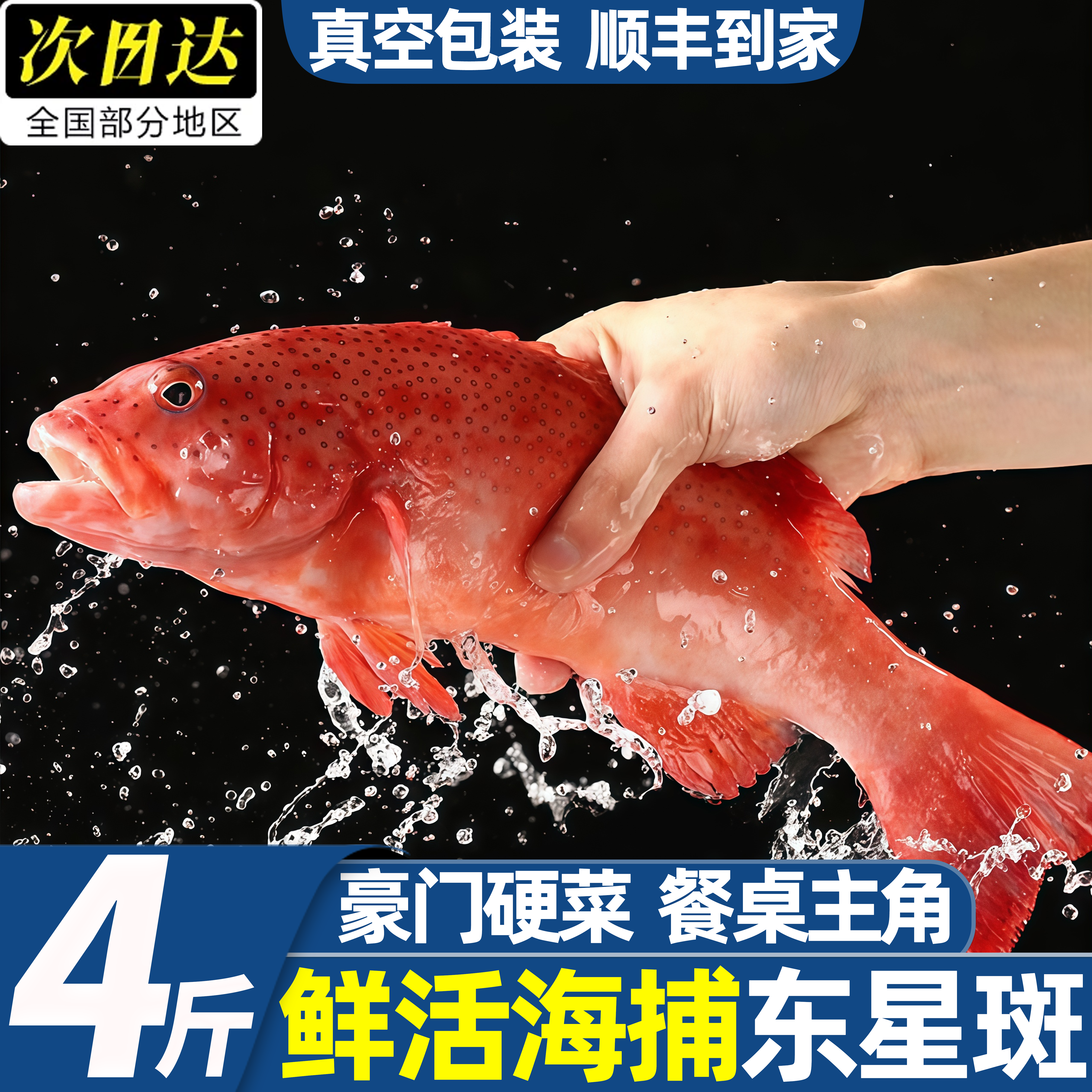深海东星斑鱼鲜活速冻包邮图片