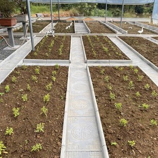 菜地沟板模具菜沟板成品菜园地沟板水泥庭院围栏沿V路田园铺路模