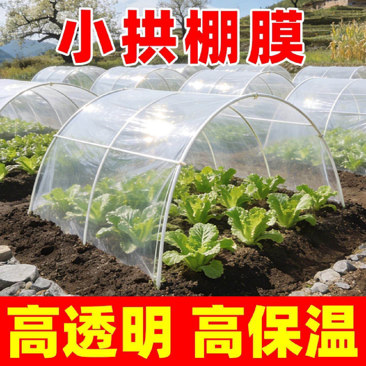 种菜小拱棚膜农用大棚膜塑料薄膜透明菜地蔬菜二膜防寒保温膜种植