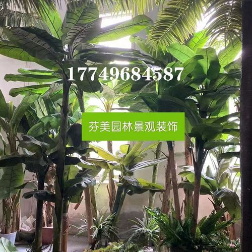 仿真芭蕉树热带绿植造景超市饭店大型植物摆放假树仿真装饰香蕉树
