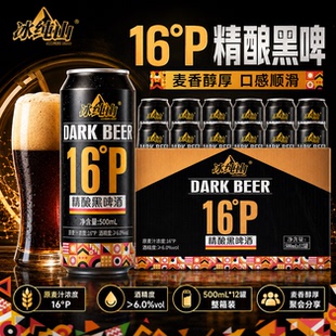 冰纯山德式工艺精酿黑啤酒16P500ml*12瓶整箱送礼聚会自饮