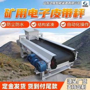 2000 ICS XF电子秤给料机 称重给煤机 矿用电子皮带秤现货速发