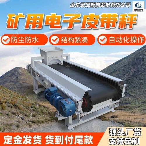 矿用电子皮带秤现货速发 称重给煤机 ICS-2000-XF电子秤给料机