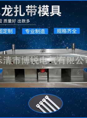供应尼龙扎带模具 Nylon cable tie Mould 扎带模具 十字架模具